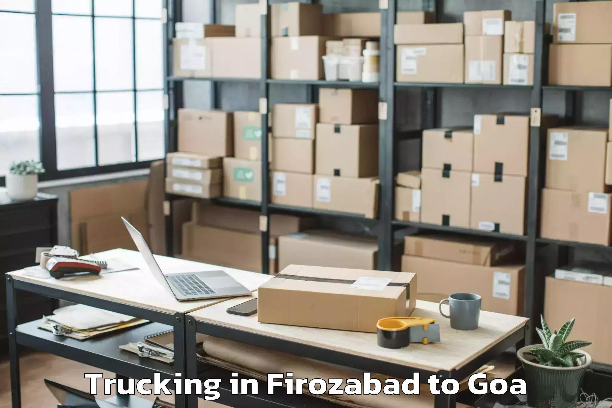 Professional Firozabad to Mall De Goa Trucking